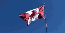 Canada Canadian Flag GIF - Canada Canadian Flag Waving Flag GIFs