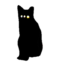 Cat Black Cat Srodan Anonimlesmek Animation Cat Art Art Meow GIF