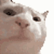 Vibe Cat Discord GIF - Vibe Cat Discord GIFs