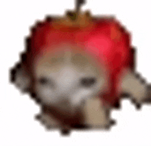 discord emoji cat apple cat