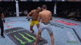 two men are fighting in a boxing ring sponsored by energy drink