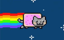 move it rainbow cat