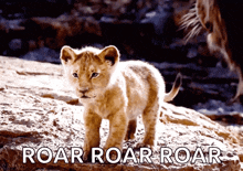 a picture of a lion cub with the words roar roar roar