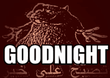 Goodnight Rat GIF - Goodnight Rat Arabic GIFs
