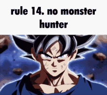 No Monster Hunter Rule14 GIF - No Monster Hunter Rule14 Dokkan Battle GIFs