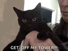 Cat Meow GIF - Cat Meow Angry GIFs