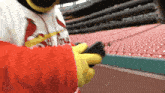 a person wearing a red and white cardinals jersey
