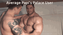 Average Papis Palace User User GIF - Average Papis Palace User User Papi GIFs
