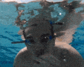 Underwater Chicken GIF - Underwater Chicken Eating GIFs