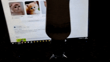 a person is looking at a google search page