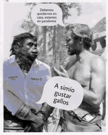Simio Oaxaca Monkey GIF - Simio Oaxaca Monkey Debemos Quedamos En Casa Estamos En Pandemia GIFs