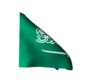 a green and white flag with arabic writing