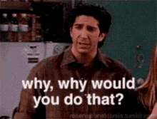 Why Would You Do That Friends GIF - Why Would You Do That Friends GIFs