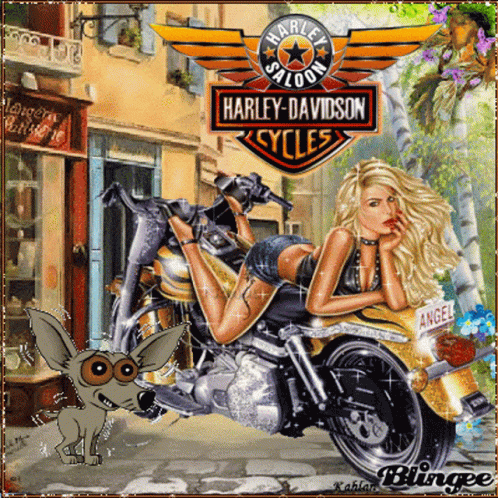 Harley Davidson Dog GIF - Harley Davidson Dog Shaking GIFs