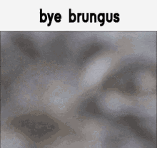 Brungus Bye GIF - Brungus Bye Bye Brungus GIFs