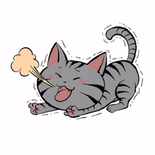 cute cat kitty gray sleepy