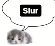 Slur GIF - Slur GIFs
