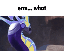 a purple and yellow dragon with the words " erm ... what " written below it