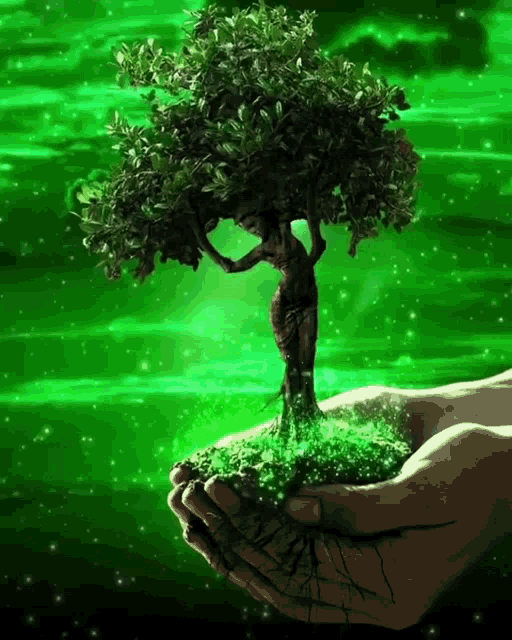 Plant Tree GIF - Plant Tree - Discover & Share GIFs