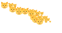 a row of yellow cats are lined up in a row on a white background