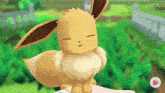a cartoon eevee is sitting on a person 's hand