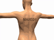 maxed body animation maxed1 brick hill t pose