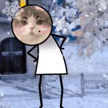 Cat Kitty GIF - Cat Kitty Funny GIFs
