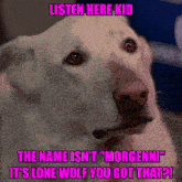 a white dog with a caption that says listen here kid the name is n't morgenni it 's lone wolf you got that