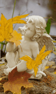 őszi Angyal GIF