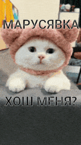 a white cat wearing a pink hat with the words " marusabka " on the bottom