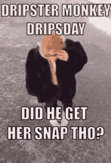 Dripstermonkey Drip GIF - Dripstermonkey Drip Monkey GIFs