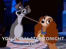 Lady And The Tramp Dogs GIF - Lady And The Tramp Dogs Spaghetti GIFs