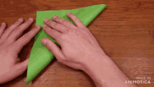 a person folding a piece of green paper with the words made in animotica behind them