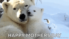 Happymothersday Polarbears GIF - Happymothersday Polarbears Hug GIFs