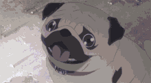 What Happens When A Pug Joins The Anime Club Dog GIF - What Happens When A Pug Joins The Anime Club Dog Pug GIFs