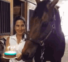 Horse Birthday GIF - Horse Birthday Blow Out Your Candles GIFs