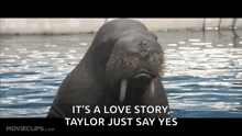 50first Dates Jocko The Walrus GIF - 50first Dates Jocko The Walrus Walruses GIFs