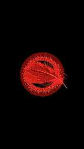 a planet is surrounded by a red circle of stars