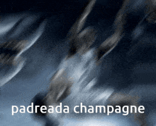 Padreada Champagne GIF - Padreada Champagne Padreada Chapagne GIFs