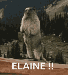 Scream Elaine GIF - Scream Elaine Shout GIFs