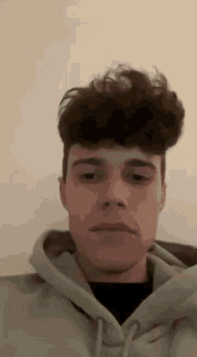 a young man with curly hair wearing a hoodie is looking at the camera .