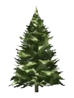 a christmas tree with a white background and a few branches