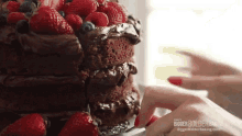 Slice Of Cake Bigger Bolder Baking GIF - Slice Of Cake Bigger Bolder Baking Chocolate Cake GIFs