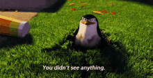 penguins didnt see anything mystery you didnt see anything