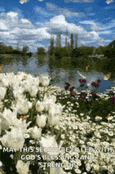 Spring Nature GIF - Spring Nature Butterflies GIFs