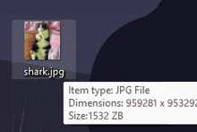 a computer screen shows a picture of a cat with the name shark.jpg on it .