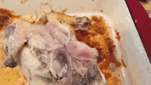 Chicken Oyster GIF
