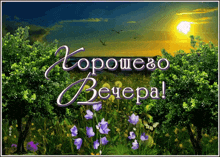 a greeting card in a foreign language shows a field of purple flowers and trees