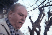 a man with a scarf around his neck is standing in front of trees