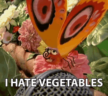 I Hate Vegetables Butterfly GIF - I Hate Vegetables Butterfly Annoyed GIFs